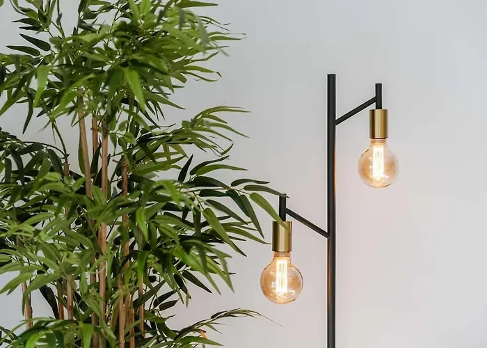 Casiola - Cosy On Location In *